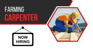 Framing Carpenter jobs in Canada